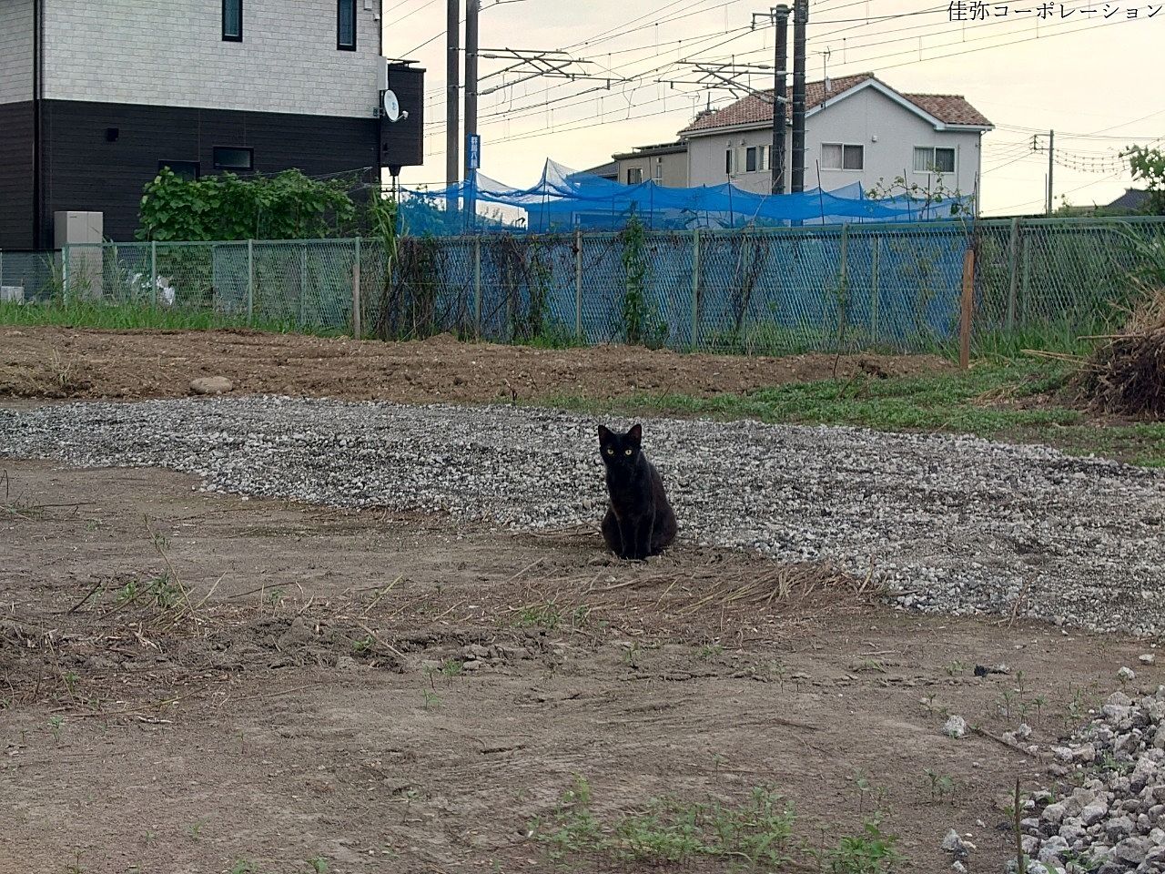 仕事中にちょっと考えること