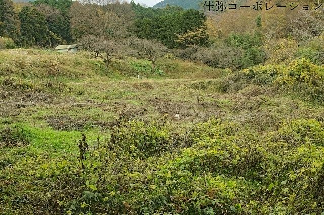 相続土地国庫帰属制度、始まって1年半